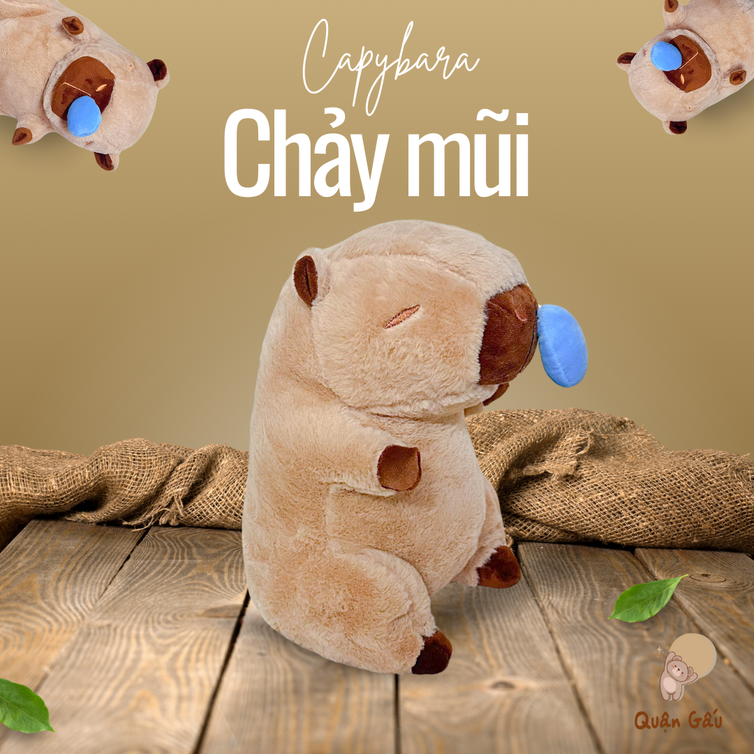 Gấu nhồi bông Capybara - bộ trưởng bộ ngoại giao chảy nước mũi tòn ten dễ thương